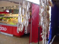 /album/belgio/immagine-062-jpg/